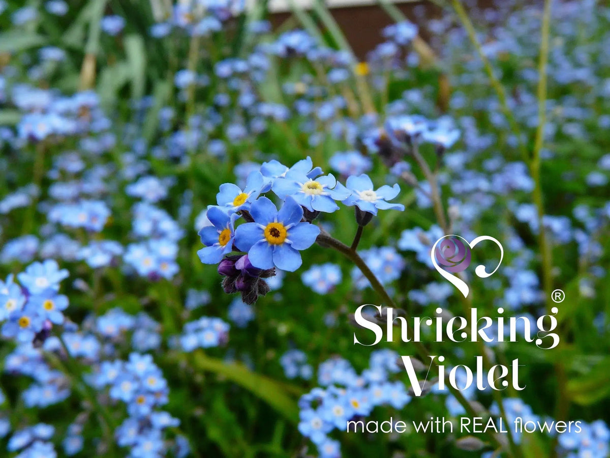 Forget-Me-Not Dachshund Pendant Necklace
